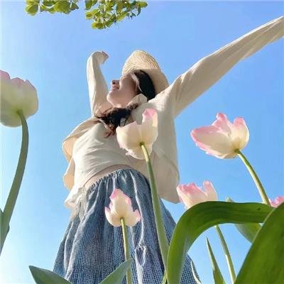 星蝶公主第三季
